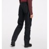 Astral GTX Pant Men-2