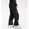 Astral GTX Pant Men